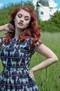 Llama Print Retro Dress