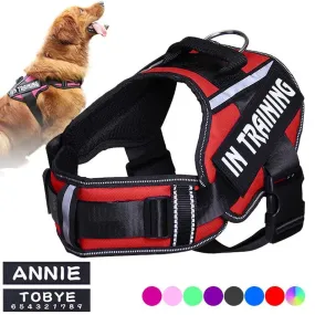 Personalized Reflective Neck Guard Dog Chest Strap
