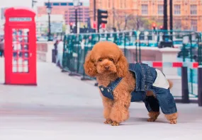 Pet / Dog / Cat Denim Overall Jumper