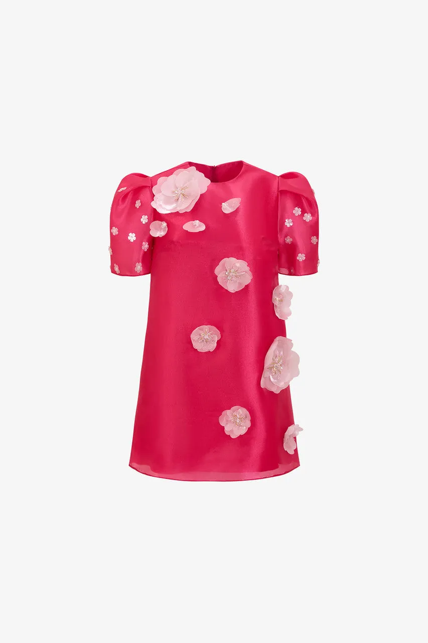 Pink Silk Organza Dress with Floral Appliqués