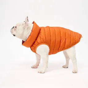 The Winterproof Reversible Dog Puffer Jacket | Orange